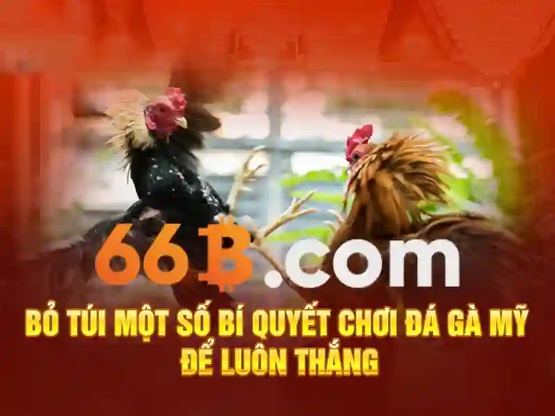 Trải nghiệm nạp tiền 66B