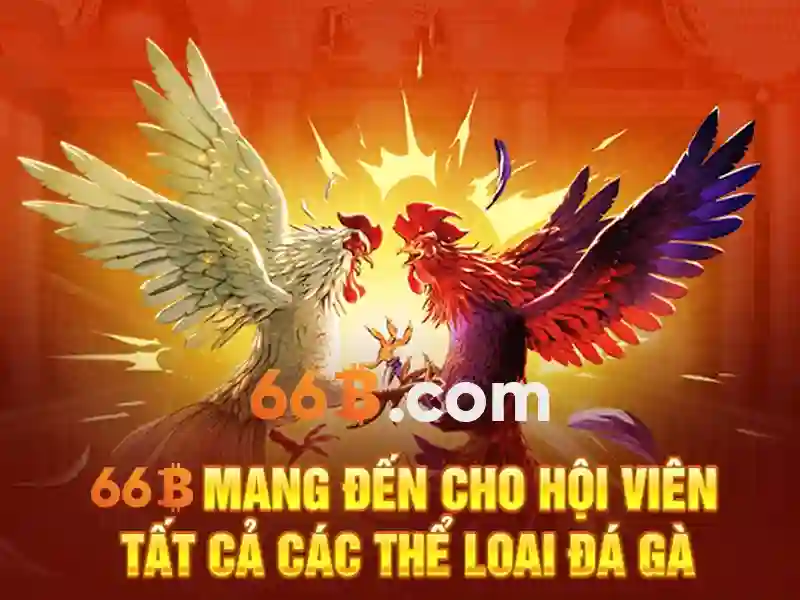 Dịch vụ hỗ trợ 24/7 với đội ngũ chuyên nghiệp