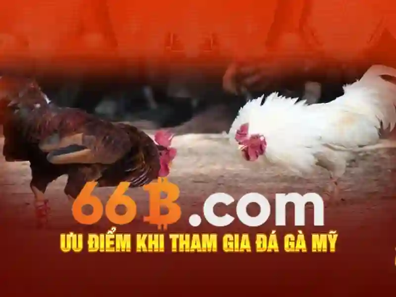 chiến thuật tiến lên 66b