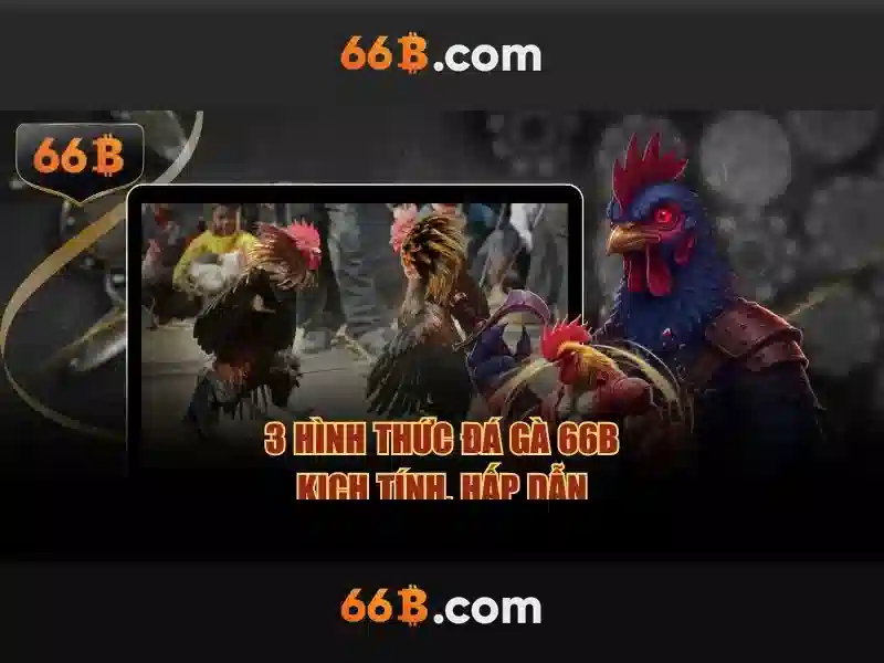 sòng bài 66B – Trải Nghiệm Slot Đỉnh Cao