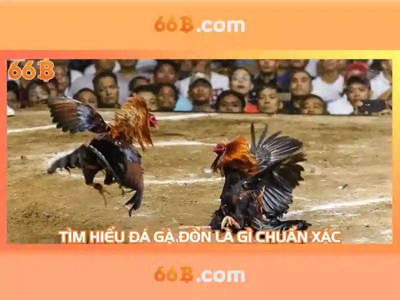 Trải Nghiệm Slot 66B