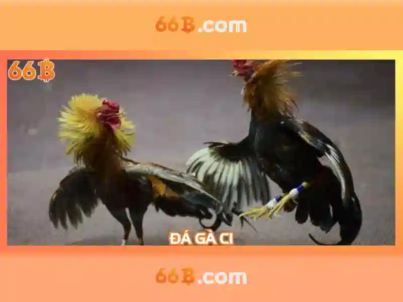 đăng ký 66b