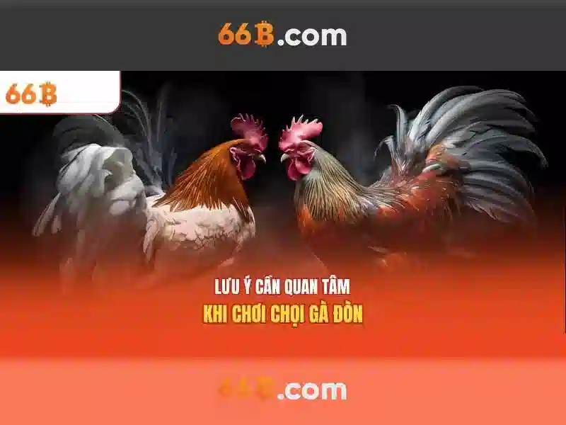 chơi bài 66b