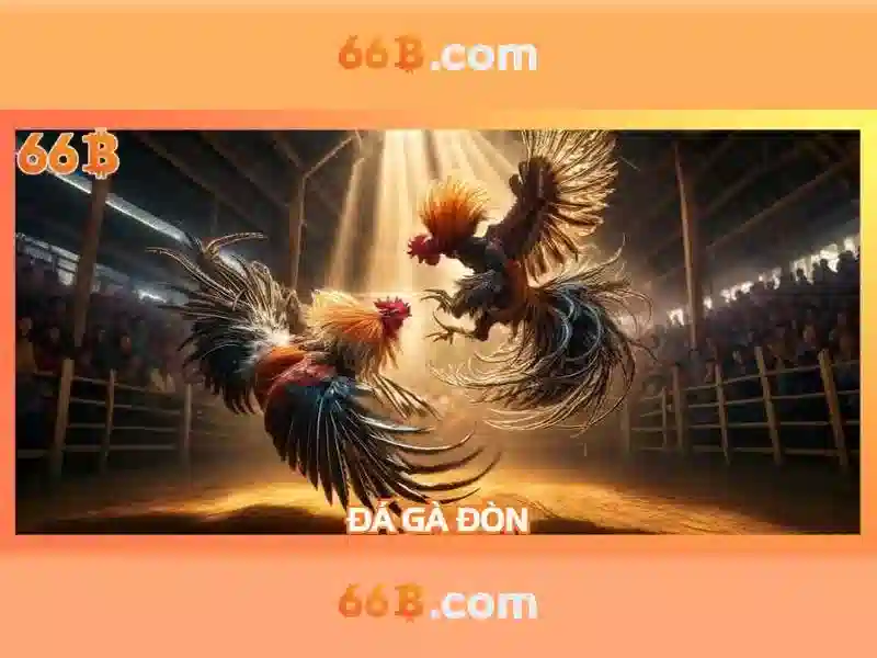 Quyền Lợi Người Dùng