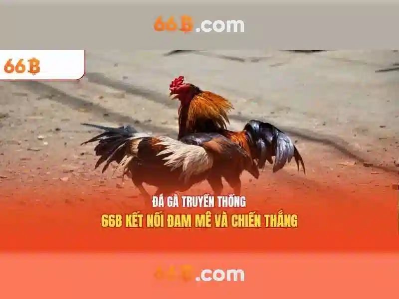 Ưu Điểm Nổi Bật Của 66B Club