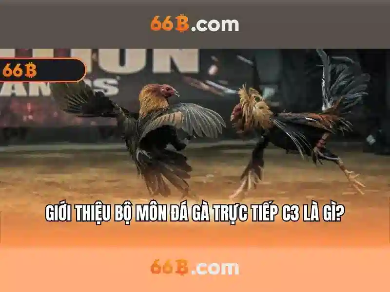 Trải Nghiệm Slot Tối Ưu