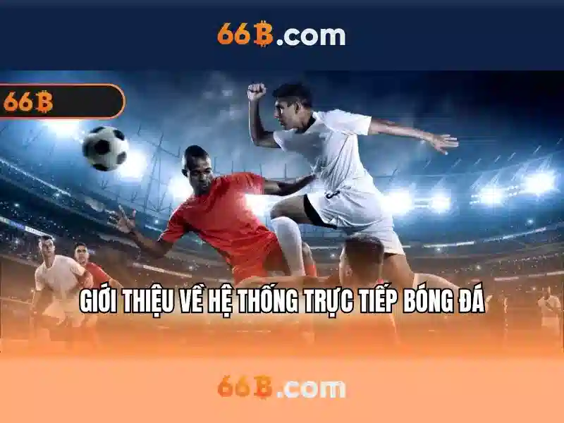 Ưu Đãi Độc Quyền Cho Thành Viên 66B