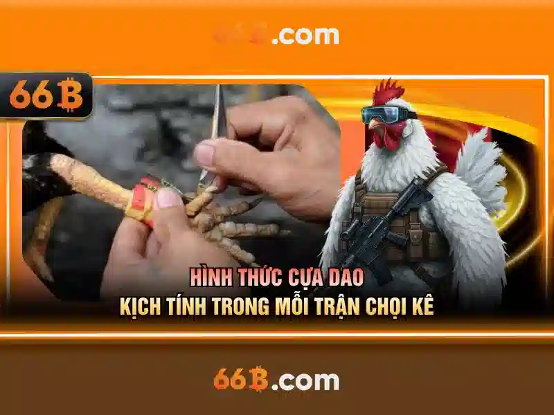 Ưu điểm 66B