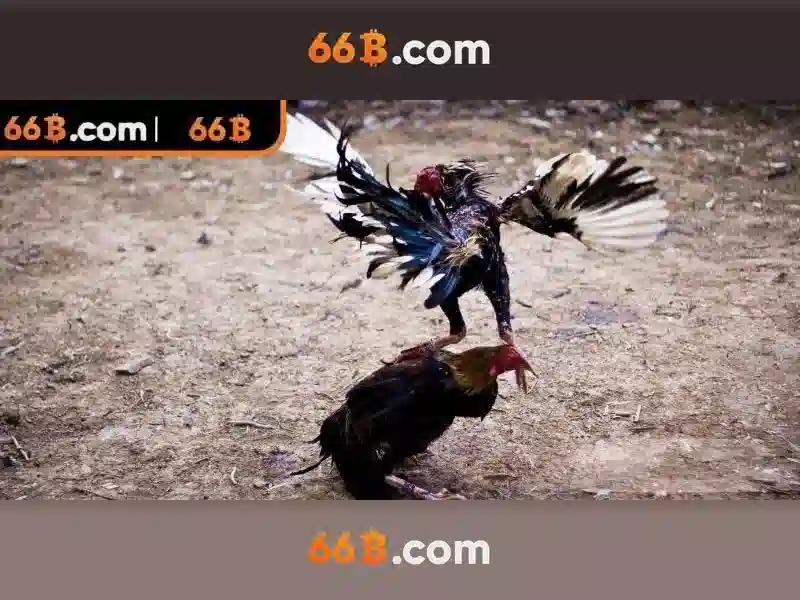 Trải nghiệm chơi bài 66B đỉnh cao