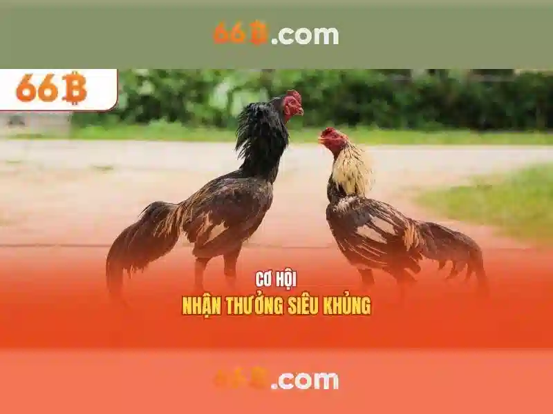 Tác Giả 66B