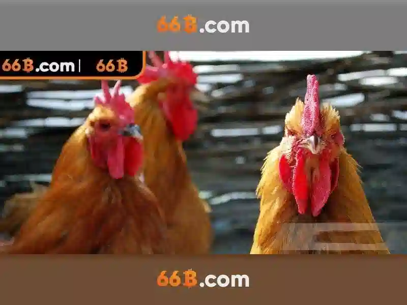 Khuyến Mãi Slot Độc Quyền