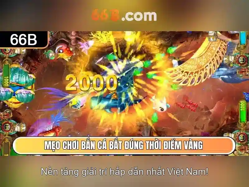 Ưu điểm tải 66B