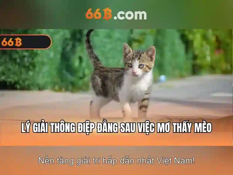 Khuyến Mãi Đặc Biệt Cho Thành Viên 66B