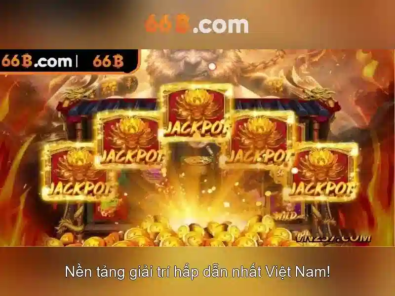 Giới Thiệu Về 66B