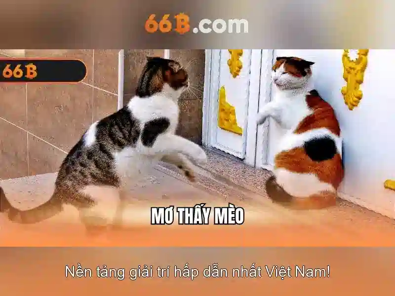 Trải Nghiệm Chơi Bài Slot