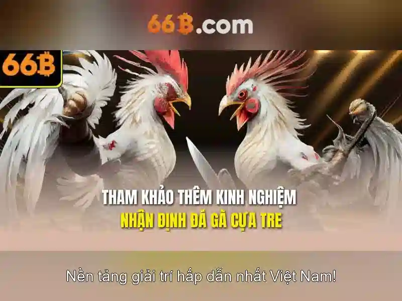 Tại Sao Đăng Xuất