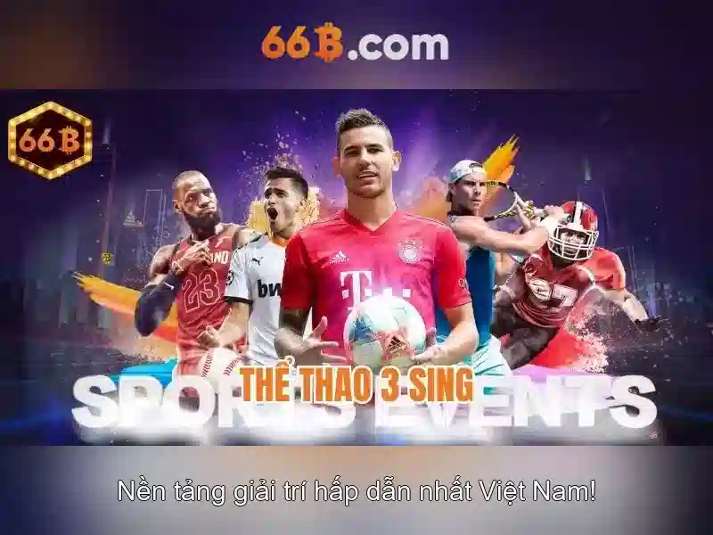 cờ caro 66b