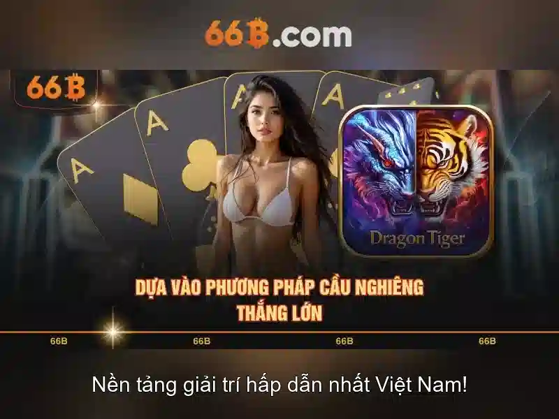 Các loại hình SLOT 66B