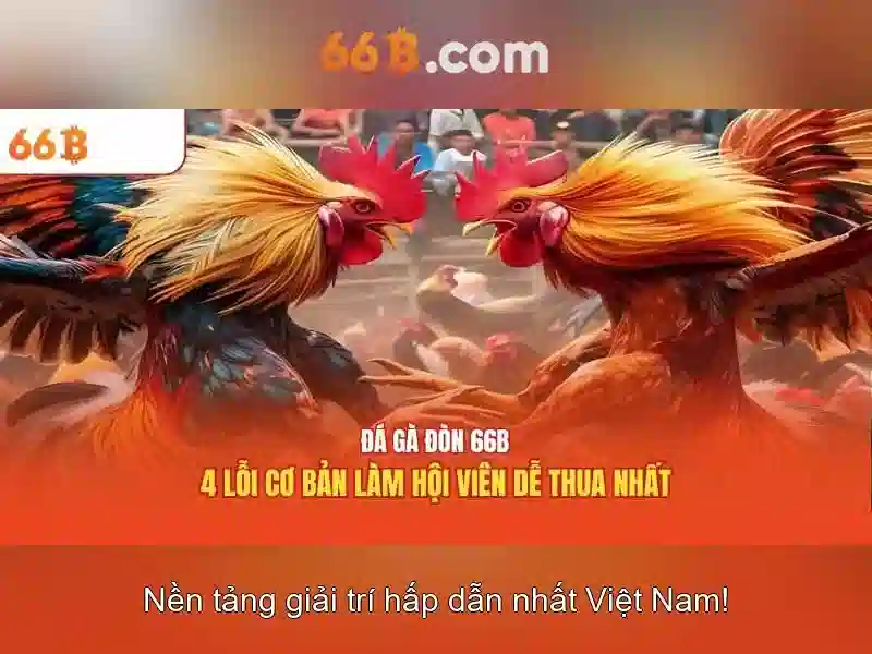 Ưu Đãi Nhập Code 66b