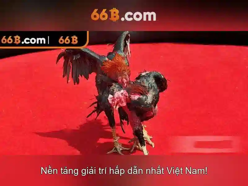 Hướng Dẫn Truy Cập