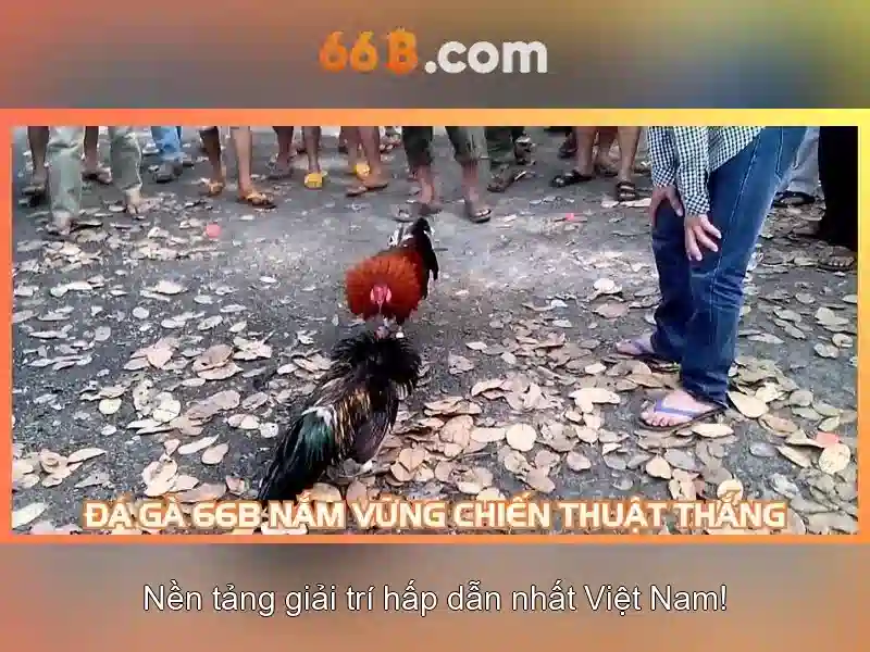 Đăng ký tài khoản 66B