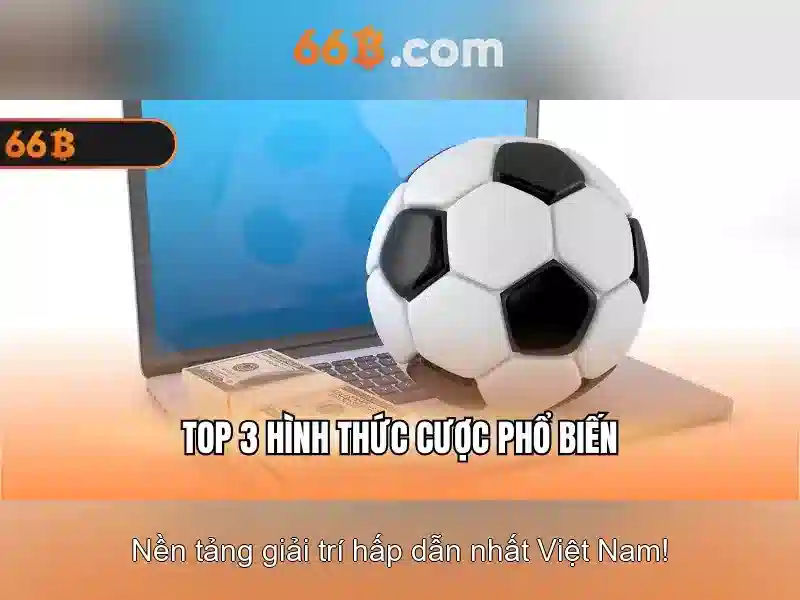 Ưu Đãi Đặc Biệt Cho Thành Viên 66B