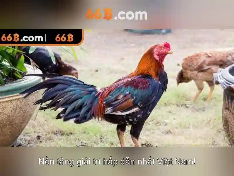 Loại Hình Giải Trí 66B