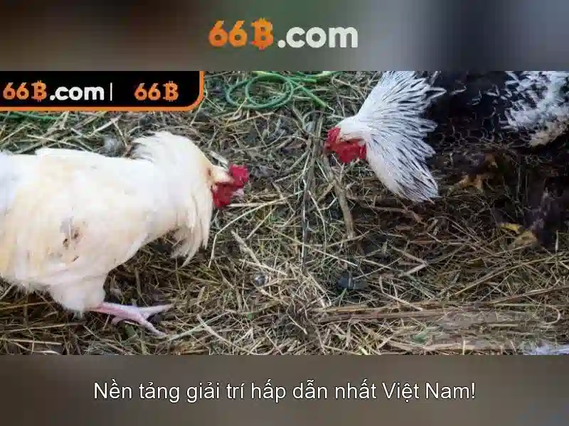 Tải App 66B – Trải Nghiệm Slot Tối Ưu