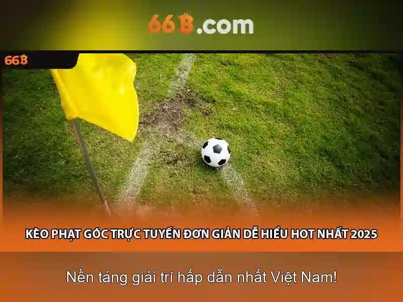 Tài Khoản 66B