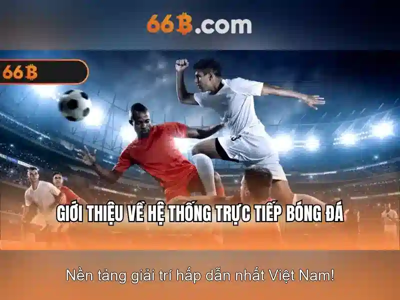 66B Hoàn Tiền 2026