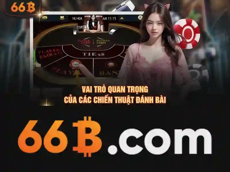 Hướng Dẫn Đăng Ký 66B