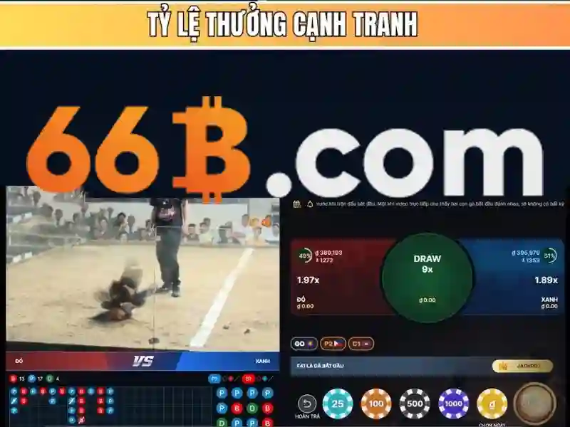 phỏm 66b