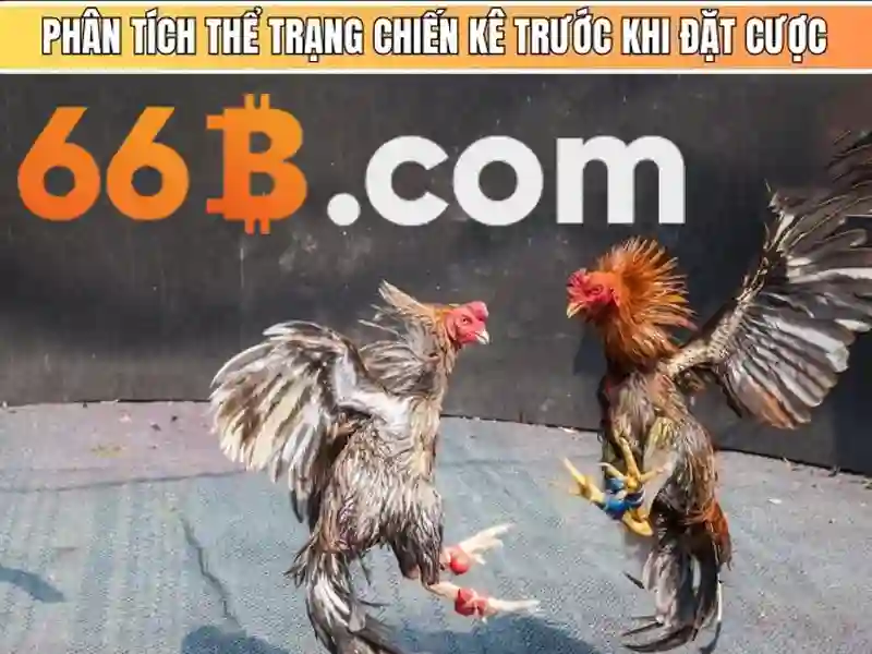 Trải Nghiệm Bắn Cá Đỉnh Cao Tại 66B