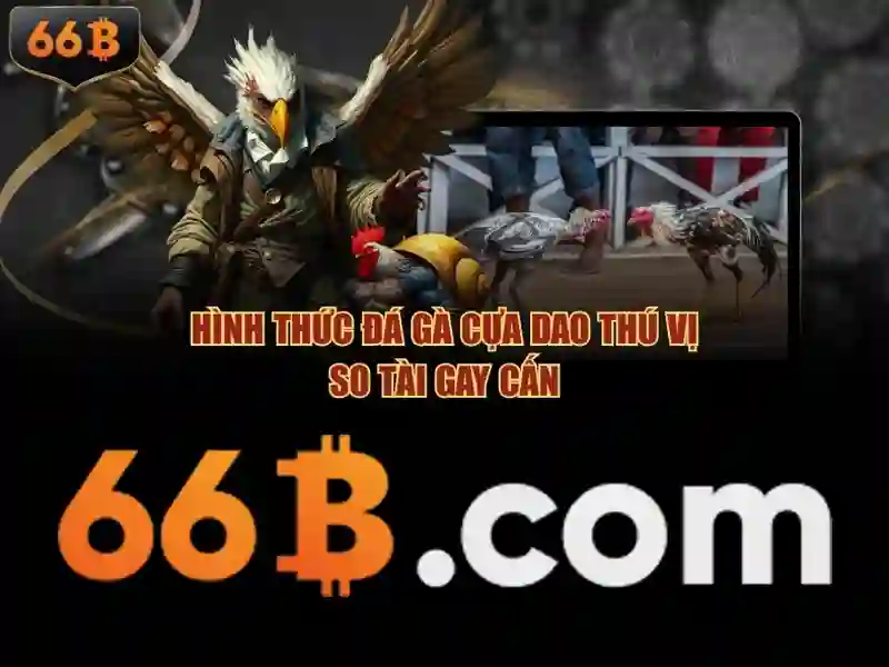 thể thao 66B