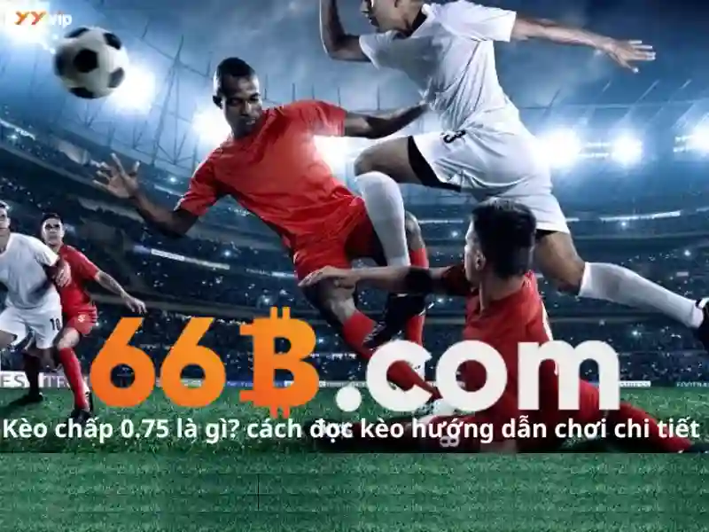 Trải nghiệm cá cược thể thao đỉnh cao