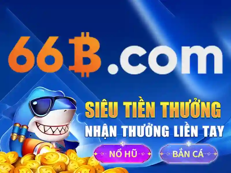 nền tảng 66B